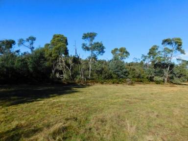 Other (Rural) For Sale - TAS - Mathinna - 7214 - Rare Riverfront Acreage in Historic Mathinna 1.352ha  (Image 2)