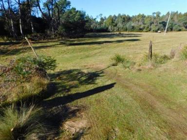 Other (Rural) For Sale - TAS - Mathinna - 7214 - Rare Riverfront Acreage in Historic Mathinna 1.352ha  (Image 2)