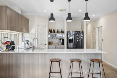 House For Sale - WA - Banksia Grove - 6031 - A STYLISH ENTERTAINERS HOME - COMPLETE WITH A POOL!  (Image 2)