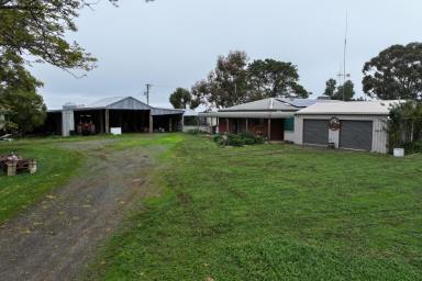 Cropping For Sale - VIC - Rochester - 3561 - EXPANSIVE RURAL LIFESTYLE & GRAZING OPPORTUNITY - Approx. 120 Acres (48.56ha)  (Image 2)