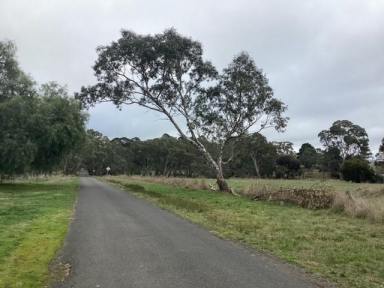 Other (Rural) For Sale - VIC - Evansford - 3371 - Three Road Frontages with Outstanding Lifestyle Potentia  (Image 2)