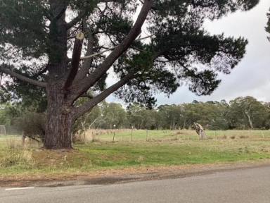 Other (Rural) For Sale - VIC - Evansford - 3371 - Three Road Frontages with Outstanding Lifestyle Potentia  (Image 2)