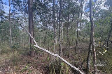 Residential Block For Sale - QLD - Bauple - 4650 - YOUR OWN SLICE OF COUNTRY PARADISE  (Image 2)