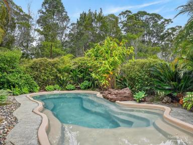 Acreage/Semi-rural For Sale - NSW - Taree - 2430 - Lifestyle, Space & Convenience  (Image 2)