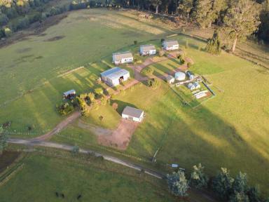 Lifestyle For Sale - TAS - West Kentish - 7306 - Manna Hill Farm - Lifestyle & Income Opportunity on over 50 Acres (Image 2)