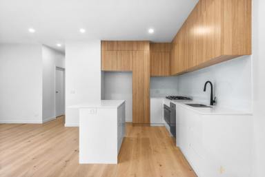 House For Lease - VIC - Hampton East - 3188 - MODERN - CENTRAL LOCATION - WALK TO EVERYTHING! (Image 2)