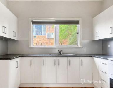 House For Lease - NSW - South Tamworth - 2340 - 58 Garden Street, South Tamworth  (Image 2)