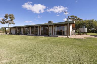 Lifestyle For Sale - VIC - Nyah - 3594 - Lifestyle Living on Approx. 18 Acres  (Image 2)