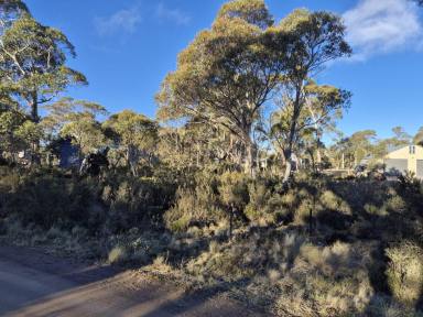 Residential Block For Sale - TAS - Miena - 7030 - Your Great Lake Getaway Begins Here  (Image 2)