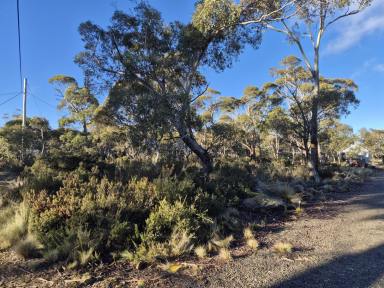 Residential Block For Sale - TAS - Miena - 7030 - Your Great Lake Getaway Begins Here  (Image 2)
