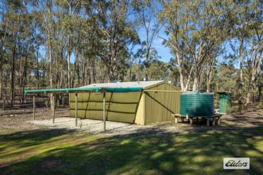 Residential Block For Sale - VIC - Graytown - 3608 - 168 Acres - Lifestyle, Camping, & Grazing (Image 2)