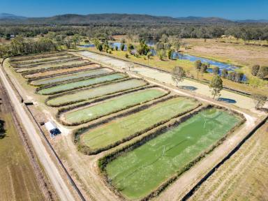 Commercial Farming For Sale - QLD - Biboohra - 4880 - Certified Sustainable Aquaculture Farm & Business 12 Hectares, 206 Species Licence, Water Security, Solar and Expansion Potential (Image 2)