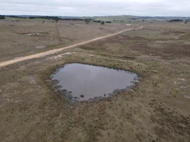 Livestock For Sale - NSW - Wayo - 2580 - 40 Acres, Grazing, Farming and Lifestyle, 15 Mins From Goulburn CBD  (Image 2)