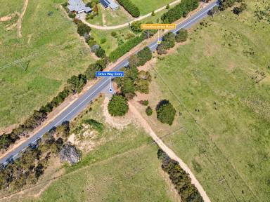 Livestock For Sale - NSW - Wayo - 2580 - 40 Fully Fenced Acres, Perfect Grazing Country, Hobby Farm, Weekend Recreation.  (Image 2)