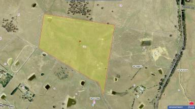 Livestock For Sale - NSW - Wayo - 2580 - 40 Acres, Grazing, Farming and Lifestyle, 15 Mins From Goulburn CBD  (Image 2)
