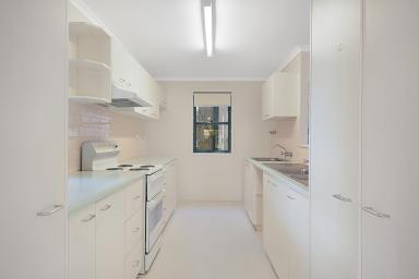 Unit For Lease - QLD - East Toowoomba - 4350 - Close to CBD - lawns included! (Image 2)