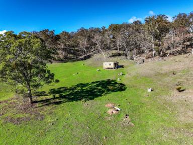 Livestock For Sale - NSW - Mudgee - 2850 - Rural Lifestyle Opportunity with Panoramic Country Views  (Image 2)
