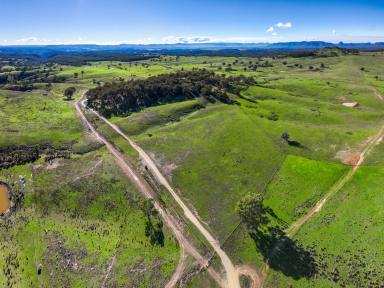 Livestock For Sale - NSW - Mudgee - 2850 - Rural Lifestyle Opportunity with Panoramic Country Views  (Image 2)