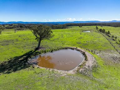 Lifestyle For Sale - NSW - Mudgee - 2850 - Scenic Rural Escape  (Image 2)