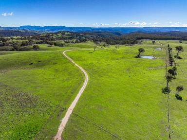 Lifestyle For Sale - NSW - Mudgee - 2850 - Scenic Rural Escape  (Image 2)