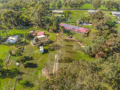 House For Sale - NSW - Tumut - 2720 - Lifestyle Property with Space, Comfort & Endless Appeal (Image 2)