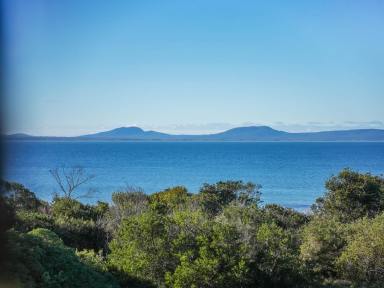 House For Sale - TAS - Swansea - 7190 - Coastal Purity with Beach Frontage  (Image 2)