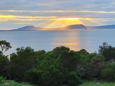 House For Sale - TAS - Swansea - 7190 - Coastal Purity with Beach Frontage (Image 2)