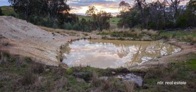 Mixed Farming For Sale - NSW - Inverell - 2360 - PRODUCTIVE GRAZING COUNTRY WITH INCOME POTENTIAL (Image 2)