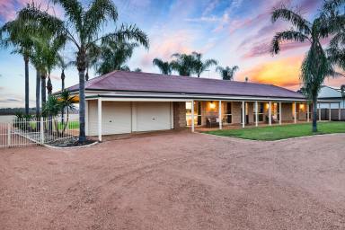 House For Sale - VIC - Irymple - 3498 - More Space. More Lifestyle.  (Image 2)