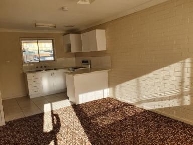 Flat For Lease - NSW - Muswellbrook - 2333 - CENTRAL LOCATION THIS TIDY RESIDENTIAL FLAT WITH ITS OWN CARPORT  (Image 2)