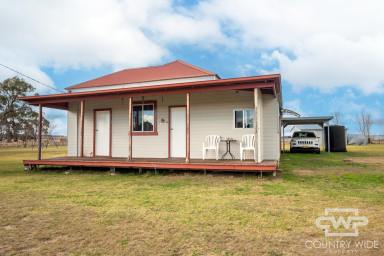 House For Sale - NSW - Dundee - 2370 - Country Charm and Comfortable Family Living (Image 2)