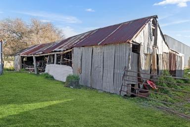 Mixed Farming For Sale - NSW - Roslyn - 2580 - "Hetherington Glen"  A 220 Acre Farm On The Tarlo River  (Image 2)