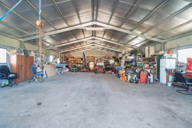 Mixed Farming For Sale - NSW - Roslyn - 2580 - "Hetherington Glen"  A 220 Acre Farm On The Tarlo River  (Image 2)