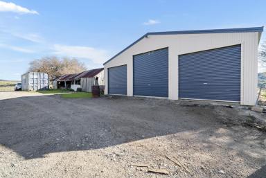 Mixed Farming For Sale - NSW - Goulburn - 2580 - "Hetherington Glen"  220 Acres On The Tarlo River.  (Image 2)