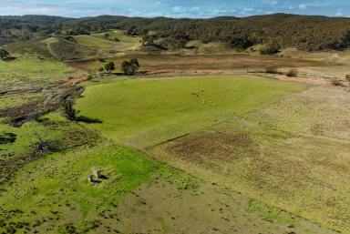 Mixed Farming For Sale - NSW - Goulburn - 2580 - "Hetherington Glen"  220 Acres, Tarlo River Flowing Through , Views, Grazing.  (Image 2)
