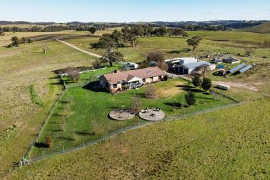 Mixed Farming For Sale - NSW - Goulburn - 2580 - "Hetherington Glen"  220 Acres On The Tarlo River.  (Image 2)