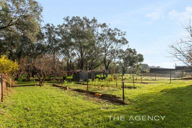 House For Sale - WA - South Guildford - 6055 - "Premier River Front with a "Loder" Potential"  (Image 2)