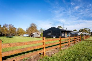 House For Sale - VIC - Edenhope - 3318 - Beautifully Renovated Family Home on a Spacious Allotment (Image 2)