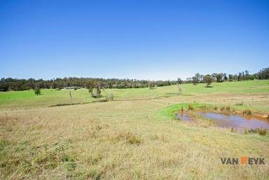Residential Block For Sale - VIC - Wiseleigh - 3885 - A Piece of Paradise near Bairnsdale – 13 Acres (Image 2)
