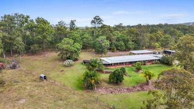 Acreage/Semi-rural For Sale - QLD - Grahams Creek - 4650 - A Buyer's Dream on 16.1 Hectares (Image 2)