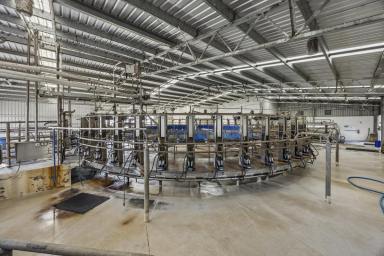 Dairy For Sale - VIC - Cooriemungle - 3268 - OUTSTANDING HEYTESBURY DISTRICT HOLDING (Image 2)