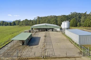 Dairy For Sale - VIC - Cooriemungle - 3268 - OUTSTANDING HEYTESBURY DISTRICT HOLDING (Image 2)