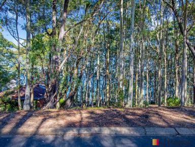 Residential Block For Sale - NSW - Long Beach - 2536 - First time for sale in over 55 years - Last of their kind 'Coastal blocks'  (Image 2)