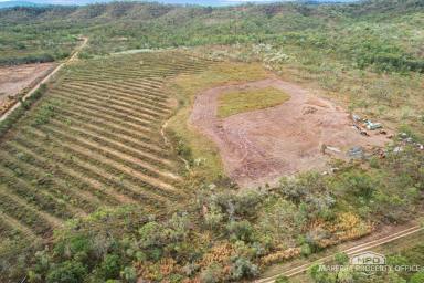Lifestyle For Sale - QLD - Dimbulah - 4872 - RURAL BUSHLAND RETREAT - PANORAMIC VIEWS & FARMING POTENTIAL (Image 2)