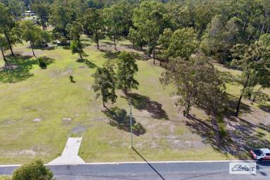 Residential Block For Sale - QLD - The Palms - 4570 - Build Your Dream Lifestyle on a Beautiful Parklike Acre!  (Image 2)