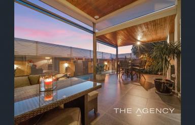 House For Sale - WA - Dianella - 6059 - Entertainers Dream with Pool, Spa and Resort Style Alfresco  (Image 2)
