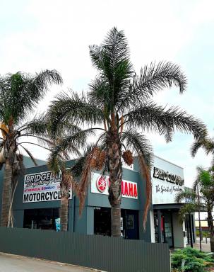 Retail For Sale - SA - Murray Bridge - 5253 - FREEHOLD PREMISES IN PROMINENT POSITION WITH SOLID MOTORCYCLE DEALERSHIP BUSINESS  (Image 2)