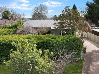 House For Lease - NSW - Moss Vale - 2577 - Charming Family Home with Space, Comfort & Convenience  (Image 2)