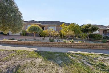 House For Sale - WA - Yokine - 6060 - In a Word: Established  (Image 2)