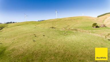 Other (Rural) For Sale - VIC - Toora - 3962 - Grazing / Turnout Block with Coastal & Rolling Rural Outlook  (Image 2)